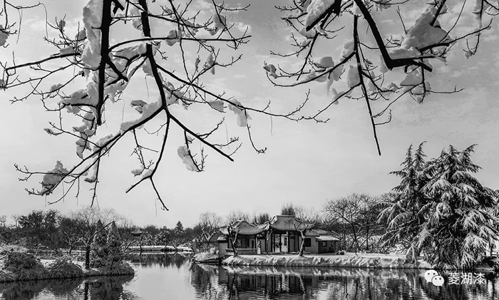說好的暴雪傾城，是這樣嗎？